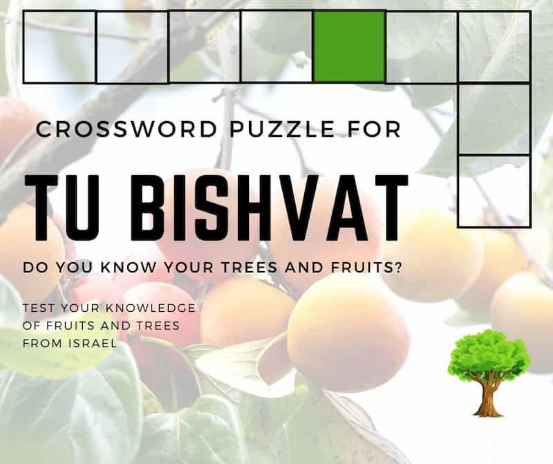 SephardicU Tu bishvat Crossword Puzzle image
