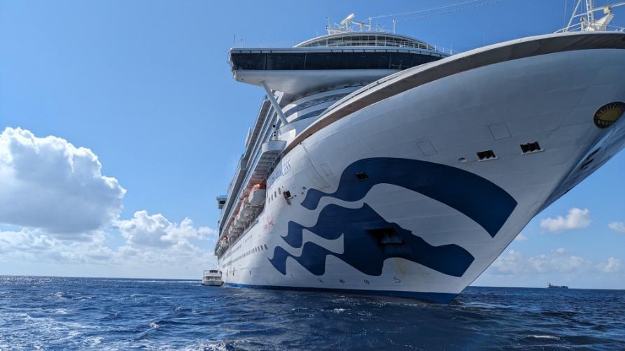 Ruby Princess bow