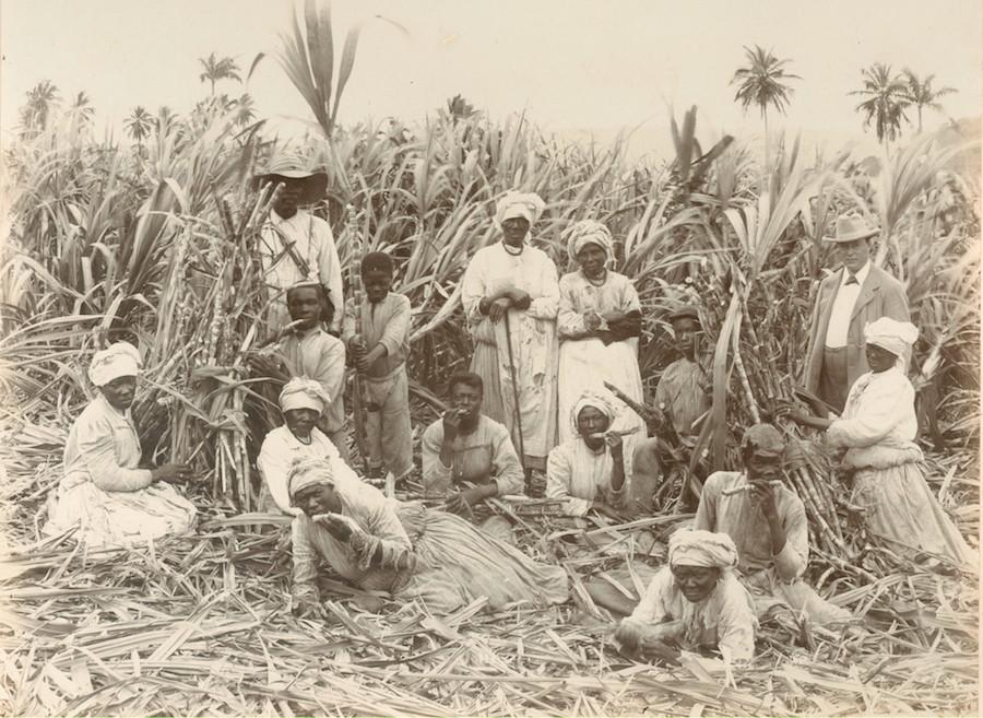 Jamaican Jews and Agriculture