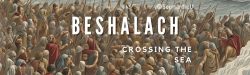 Crossing the Red Sea Parasha Beshalach