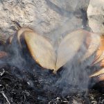 Prayers for the Search and Burning of Hametz